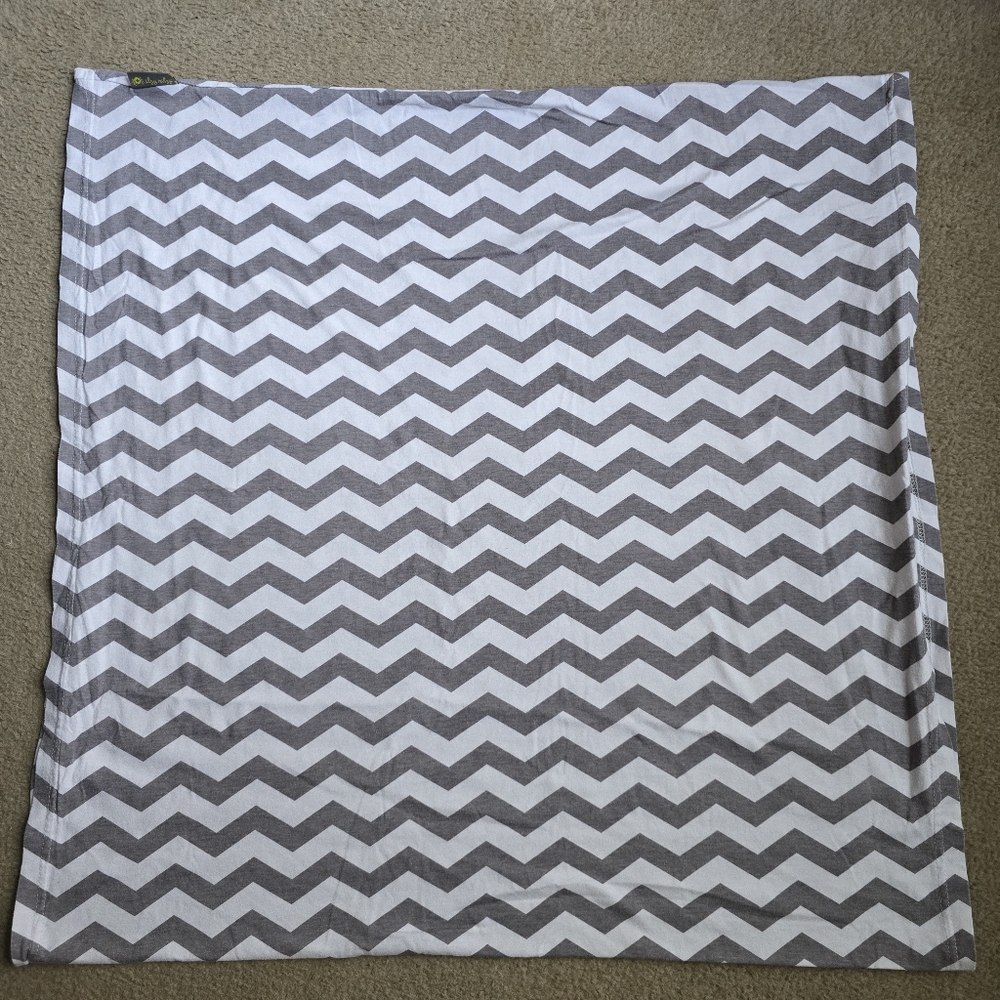 Itsy Ritsy Carseat Cover